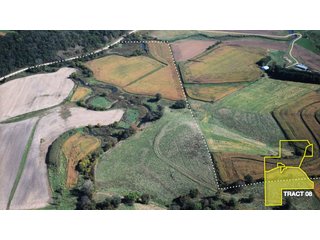 Property photo 24 - 1,153 +/- Acres offered in 15 TractsLAND AUCTION